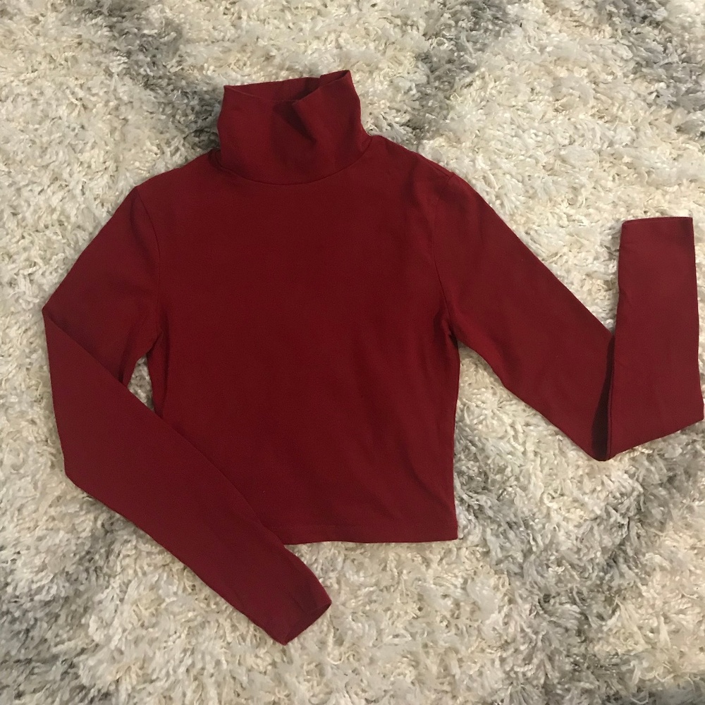 Turtleneck Crop Top